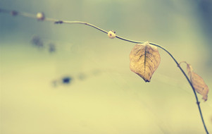 學會這些思維，你就能成為大咖【送禮思維1】