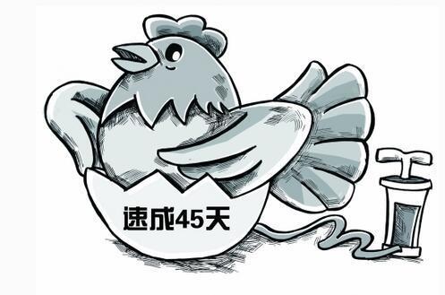 你還在追求速成嗎？